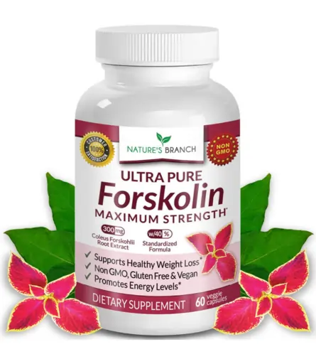 Pure Forskolin Extract For Weight Loss Maximum Strength Belly Buster